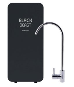 Black Beast